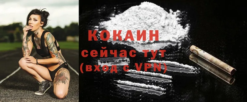 площадка как зайти  Старая Купавна  Cocaine VHQ 